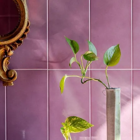 Potus 招待所 维罗纳