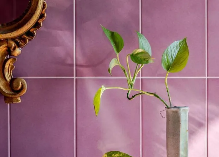 Potus 招待所 维罗纳